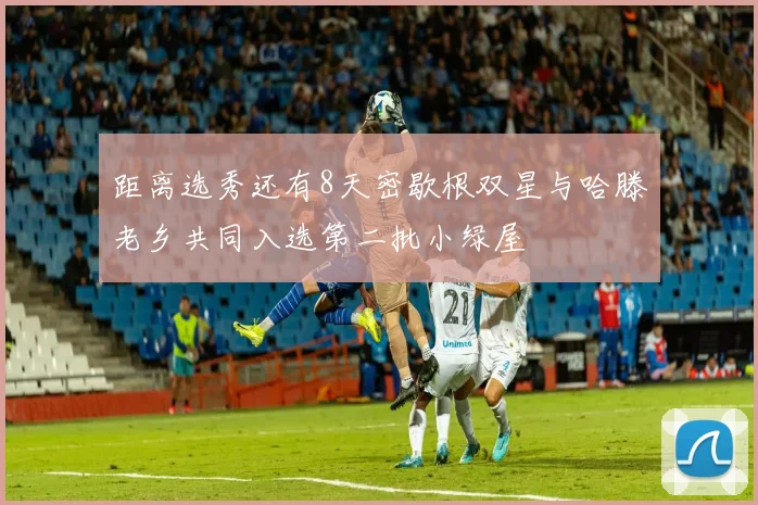 距离选秀还有8天密歇根双星与哈滕老乡共同入选第二批小绿屋