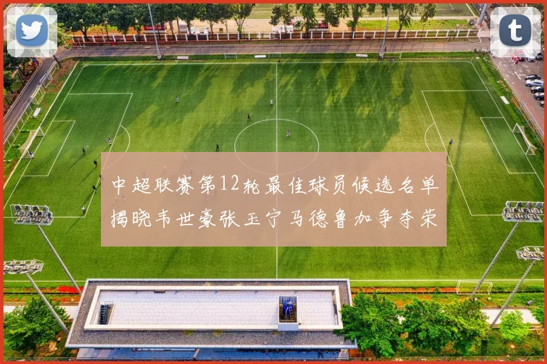 中超联赛第12轮最佳球员候选名单揭晓韦世豪张玉宁马德鲁加争夺荣誉
